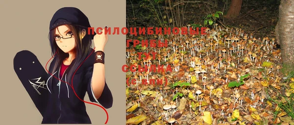 прущая мука Верхний Тагил